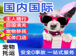 曹家堡机场快递国际宠物托运 【国